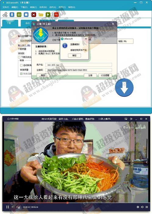 视频下载器Allavsoft v3.28.7.9473